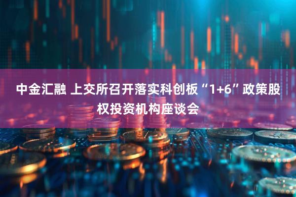 中金汇融 上交所召开落实科创板“1+6”政策股权投资机构座谈会