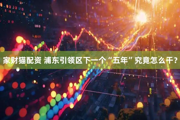 家财猫配资 浦东引领区下一个“五年”究竟怎么干?
