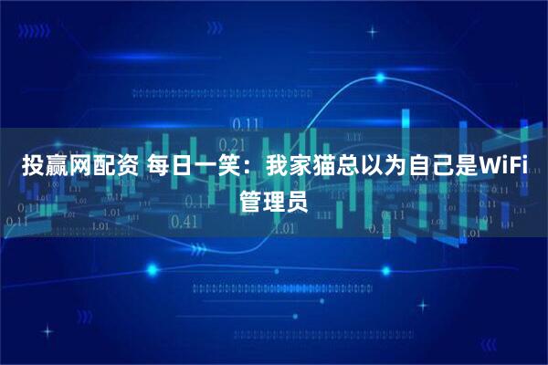投赢网配资 每日一笑：我家猫总以为自己是WiFi管理员
