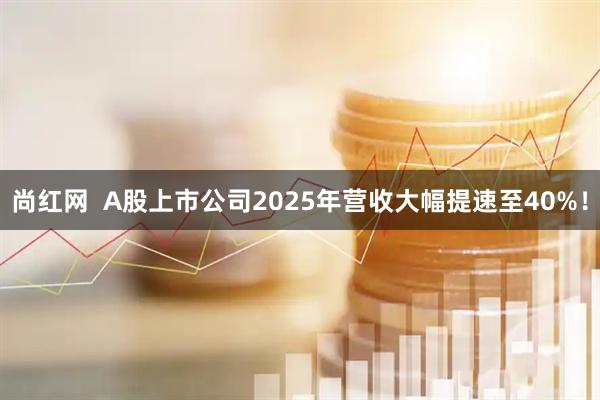 尚红网  A股上市公司2025年营收大幅提速至40%！